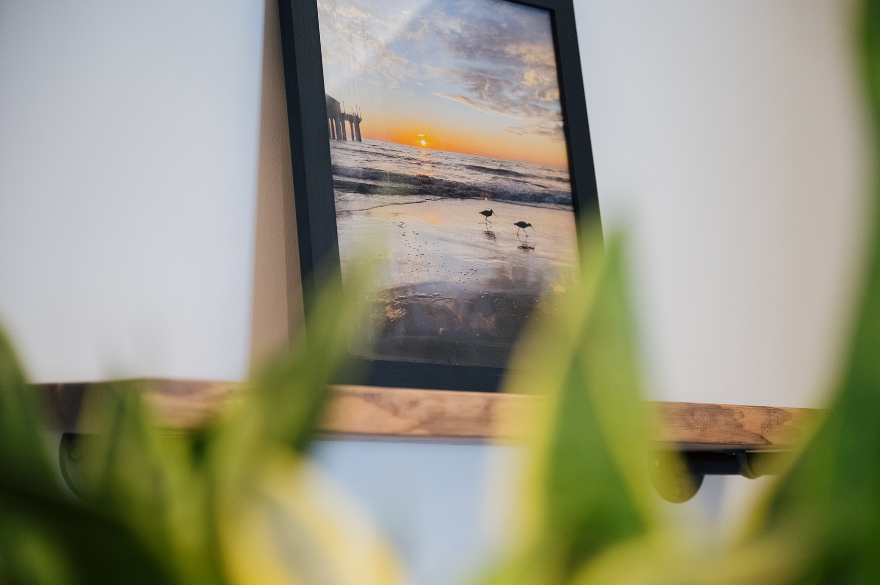 Casco Bay Smiles dental care